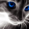 lucyreis11